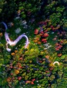 开展图书、图片展