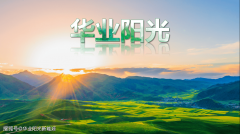 <b>武宿国际机场摸索近零碳交通建建运转模式</b>